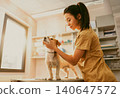 Warm Golden Hour Vet Visit Young Asian Veterinarian in Tan Scrubs Tenderly Lifts the Face of a Small Dog on an Exam Table 140647572