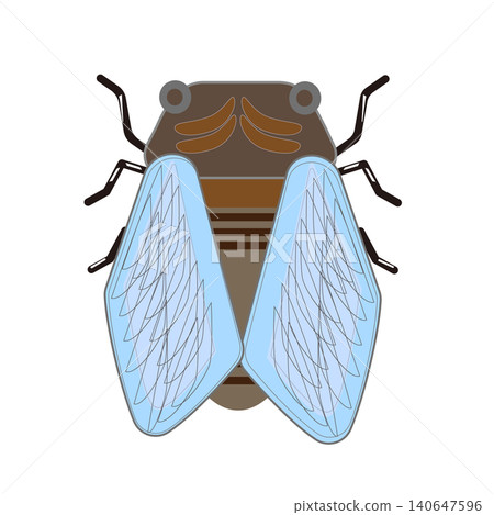 Cicada (front view) - Summer insect illustration Cicada (front view) - Summer insect illustration 140647596