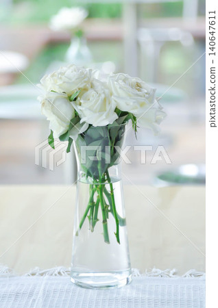 briosa rose , white rose or Garden roses , zaide rose or William Christie Rose or Mary Rose or Rosaceae or white rose in a vase 140647611