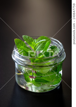 Fresh aromatic mint leaves on dark background composition Fresh aromatic mint leaves on dark background composition 140647759