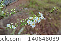 Flowers bloom on branches in a garden during spring, showcasing their bright colors and new life under the sunlight 140648039