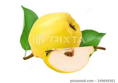 Fresh quince slice isolated on the white background with full depth of field Fresh quince slice isolated on the white background with full depth of field 140648561