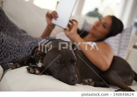 Home, dog and tablet with woman on a couch, internet and typing with connection and website information. Person, relax and girl with a pet and technology with digital app and animal with best friend Home, dog and tablet with woman on a couch, internet and typing with connection and website information. Person, relax and girl with a pet and technology with digital app and animal with best friend 140648624