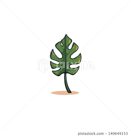 A cartoon illustration portrays a single, stylized monstera leaf. Showcasing intricate cuts and a playful shadow, the drawing offers natural charm. Ideal for tropical designs and botanical themed A cartoon illustration portrays a single, stylized monstera leaf. Showcasing intricate cuts and a playful shadow, the drawing offers natural charm. Ideal for tropical designs and botanical themed 140649153