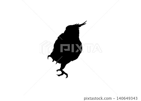 Silhouette of a cockatiel with one leg raised Silhouette of a cockatiel with one leg raised 140649343
