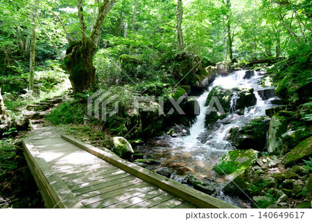 Gifu Prefecture, Takayama City - Utsue Forty-Eight Waterfalls - Uogae Falls 6 - June 2025 Gifu Prefecture, Takayama City - Utsue Forty-Eight Waterfalls - Uogae Falls 6 - June 2025 140649617