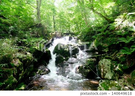 Gifu Prefecture, Takayama City - Utsue Forty-Eight Waterfalls - Uogae Falls 1 - June 2025 Gifu Prefecture, Takayama City - Utsue Forty-Eight Waterfalls - Uogae Falls 1 - June 2025 140649618