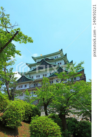 在愛知縣名古屋市,名古屋城掩映在綠樹叢中,景色宜人。 在愛知縣名古屋市,名古屋城掩映在綠樹叢中,景色宜人。 140650221