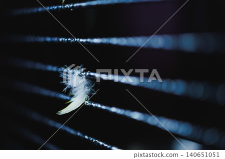 Feather caught on thin wires in the dark near a fence during late evening hours Feather caught on thin wires in the dark near a fence during late evening hours 140651051