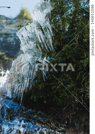 Icicles hang from trees near Niagara Falls during winter season with sunlight shining on frozen water Icicles hang from trees near Niagara Falls during winter season with sunlight shining on frozen water 140651096