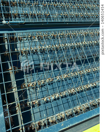 Close look at metal structure with wires and rods used in construction at a building site during daylight hours Close look at metal structure with wires and rods used in construction at a building site during daylight hours 140651454