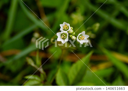 Hatakenhella Hatakenhella 140651663