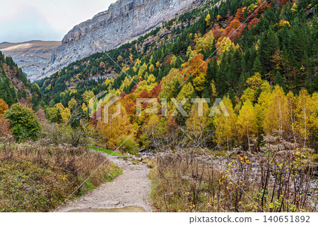 Colorful beech fall forest in Ordesa and Monte Perdido National park, Pyrenees, Aragon in Spain Colorful beech fall forest in Ordesa and Monte Perdido National park, Pyrenees, Aragon in Spain 140651892
