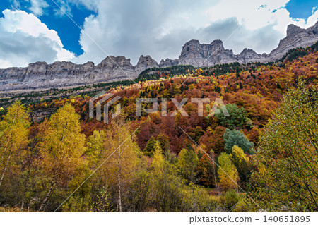 Colorful beech fall forest in Ordesa and Monte Perdido National park, Pyrenees, Aragon in Spain 140651895