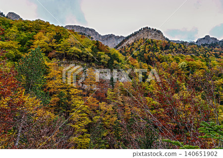 Colorful beech fall forest in Ordesa and Monte Perdido National park, Pyrenees, Aragon in Spain Colorful beech fall forest in Ordesa and Monte Perdido National park, Pyrenees, Aragon in Spain 140651902