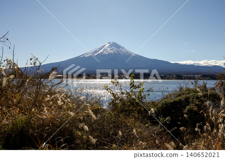 Mount Fuji Behind Sparkling Lake with Wild Grass in Foreground 140652021