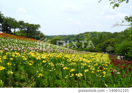 袋井市五色之丘 香井百合園 袋井市五色之丘 香井百合園 140652105