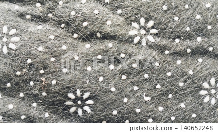 Non-slip rug backing fabric texture background with flower dot pattern. Non-slip rug backing fabric texture background with flower dot pattern. 140652248