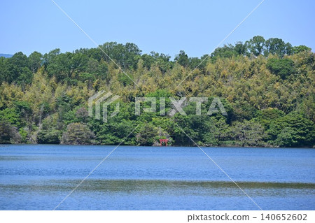 靜岡縣綠意盎然的伊佩基湖 靜岡縣綠意盎然的伊佩基湖 140652602