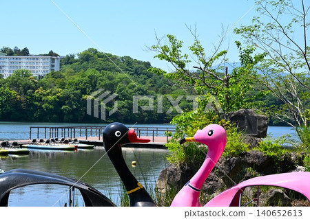 Swan boats facing each other in Shizuoka Swan boats facing each other in Shizuoka 140652613