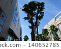 Sunny day at Kita-Narashino Ebisu-dori Shopping Street, Chiba 140652785