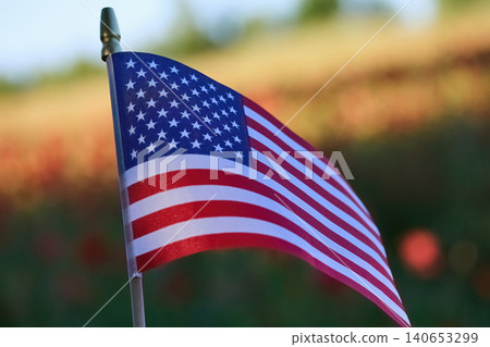 American flag waving in sunny poppy field representing patriotism American flag waving in sunny poppy field representing patriotism 140653299