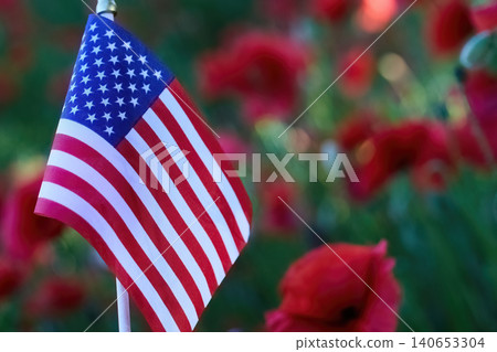 American flag standing among red poppies representing remembrance American flag standing among red poppies representing remembrance 140653304