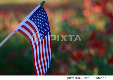 American flag standing in a field of red poppies American flag standing in a field of red poppies 140653308