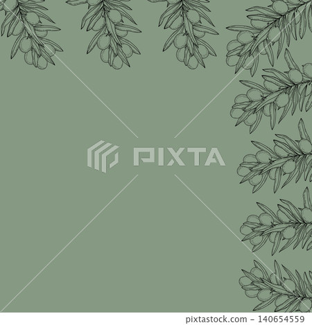 Elegant square olive branch frame with hand drawn botanical leaves in minimalist Mediterranean outline style. Vector illustration for invitations, branding, packaging design, posters, stationery and 140654559