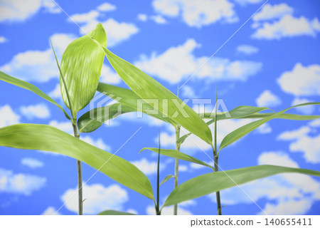 Bamboo leaves against a blue sky 140655411