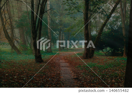 mystic dramatic autumn wood land scenery environment place lonely track along trees under shadow mystic dramatic autumn wood land scenery environment place lonely track along trees under shadow 140655482