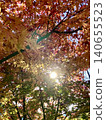 Colorful maple leaves and the sun 140655523