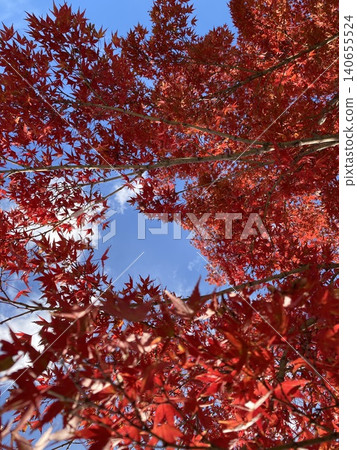 明亮的紅色在藍天留下發光 明亮的紅色在藍天留下發光 140655524