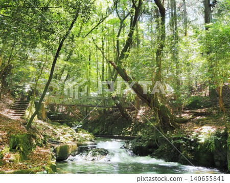 靜岡縣:五月的名利澤峽谷美麗的翠綠景色 靜岡縣:五月的名利澤峽谷美麗的翠綠景色 140655841
