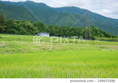 滋賀縣大津市八屋的梯田 滋賀縣大津市八屋的梯田 140655896