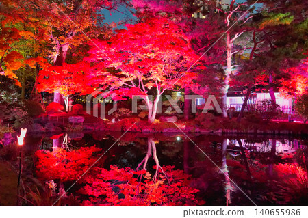 中島公園夜晚被夢幻般的燈光照亮 140655986