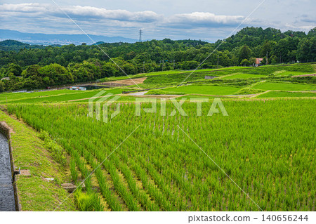 Terraced rice fields of Hachiyado, Otsu City, Shiga Prefecture Terraced rice fields of Hachiyado, Otsu City, Shiga Prefecture 140656244