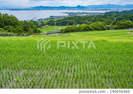 Terraced rice fields of Hachiyado, Otsu City, Shiga Prefecture Terraced rice fields of Hachiyado, Otsu City, Shiga Prefecture 140656466