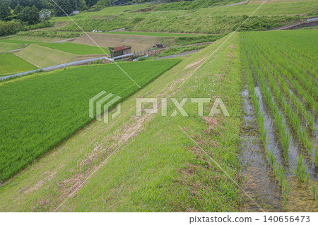Terraced rice fields of Hachiyado, Otsu City, Shiga Prefecture 140656473