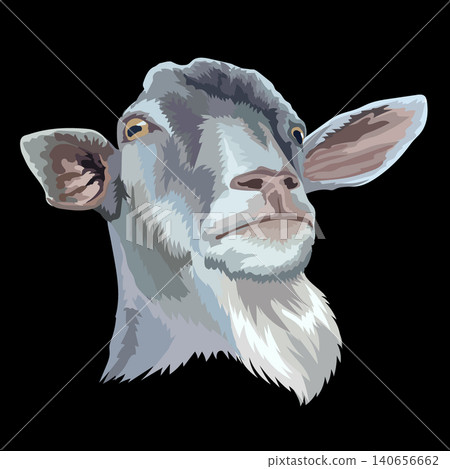 Illustration of gray goat head with a beard vector Illustration of gray goat head with a beard vector 140656662