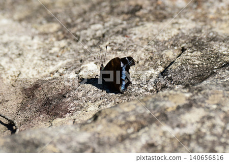 Ruritateha on the stone Ruritateha on the stone 140656816