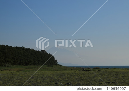 A spring scene at Miho no Matsubara with Mount Fuji faintly visible in the distance. 140656907