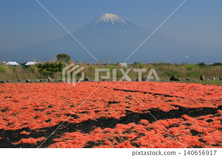 A view of Mt. Fuji seen through sun-dried sakura shrimp from Yui. A view of Mt. Fuji seen through sun-dried sakura shrimp from Yui. 140656917
