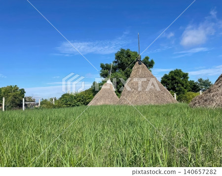 Traditional Straw Haystacks in Green Field under Blue Sky Traditional Straw Haystacks in Green Field under Blue Sky 140657282