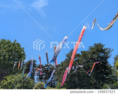 鯉魚彩帶在藍天中飄揚 鯉魚彩帶在藍天中飄揚 140657325