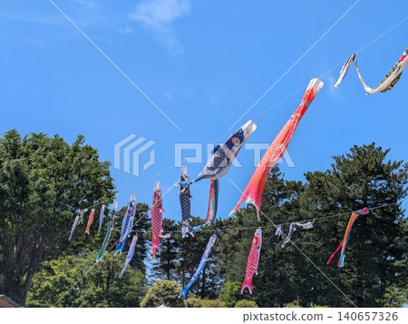 鯉魚彩帶在藍天中飄揚 鯉魚彩帶在藍天中飄揚 140657326