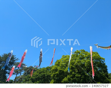 Carp streamers fluttering in the blue sky Carp streamers fluttering in the blue sky 140657327