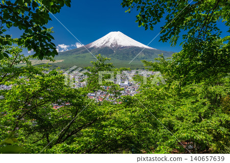 在新倉淺間公園,富士山的景色和鬱鬱蔥蔥的綠植令人賞心悅目。 在新倉淺間公園,富士山的景色和鬱鬱蔥蔥的綠植令人賞心悅目。 140657639