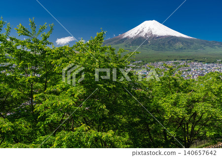 The view of Mount Fuji and the fresh greenery at Arakura Sengen Park is beautiful. The view of Mount Fuji and the fresh greenery at Arakura Sengen Park is beautiful. 140657642
