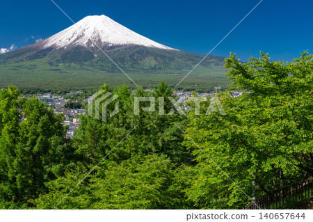 The view of Mount Fuji and the fresh greenery at Arakura Sengen Park is beautiful. The view of Mount Fuji and the fresh greenery at Arakura Sengen Park is beautiful. 140657644